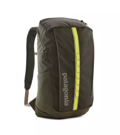 Раница Patagonia Black Hole Pack 25L Winter 2025